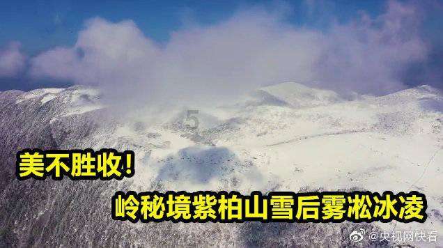 加入有哪些生活中比电影还精彩的分手桥段?知识星球,探索无限智慧!